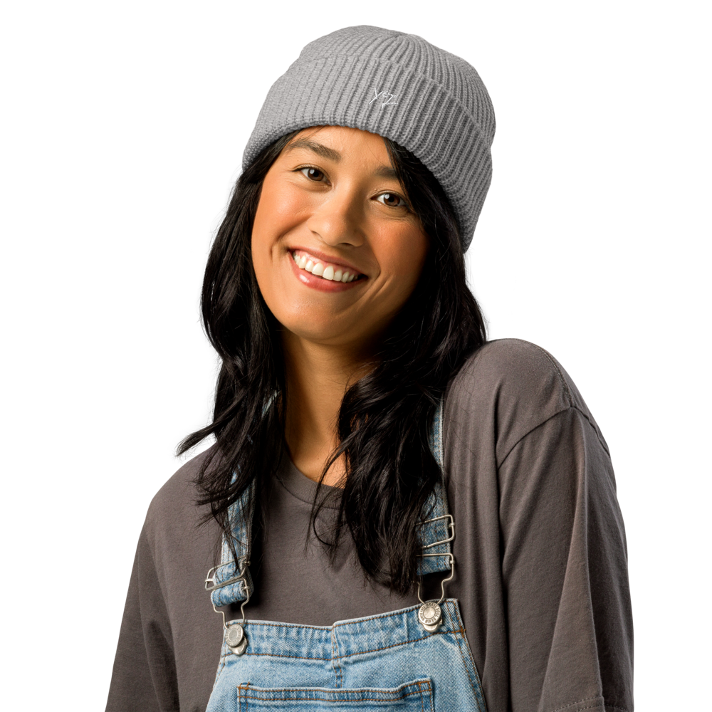 Journey beanie