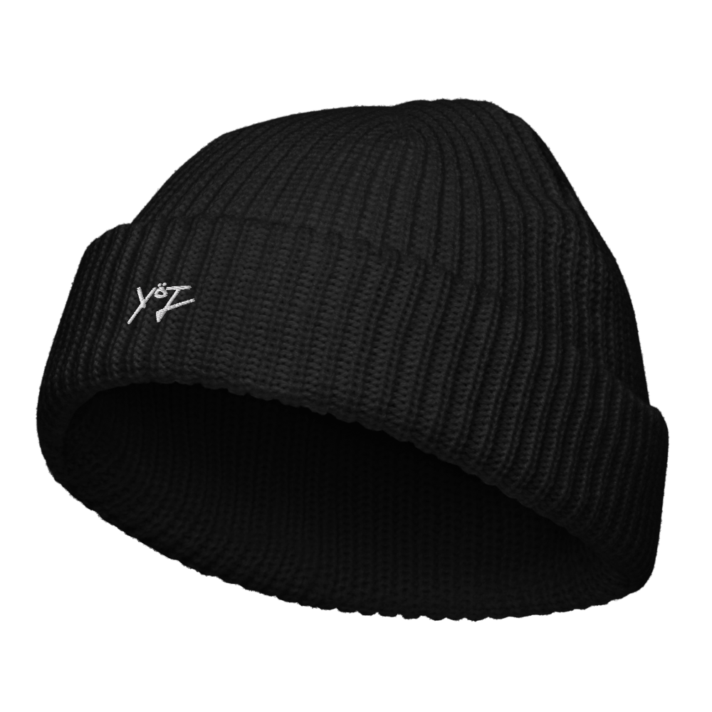Journey beanie